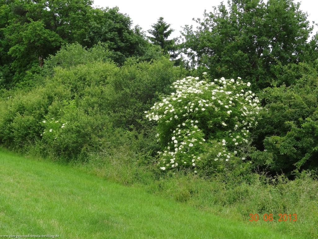 Philosophische Bildwanderung Traumpfad-Monrealer-Ritterschlag