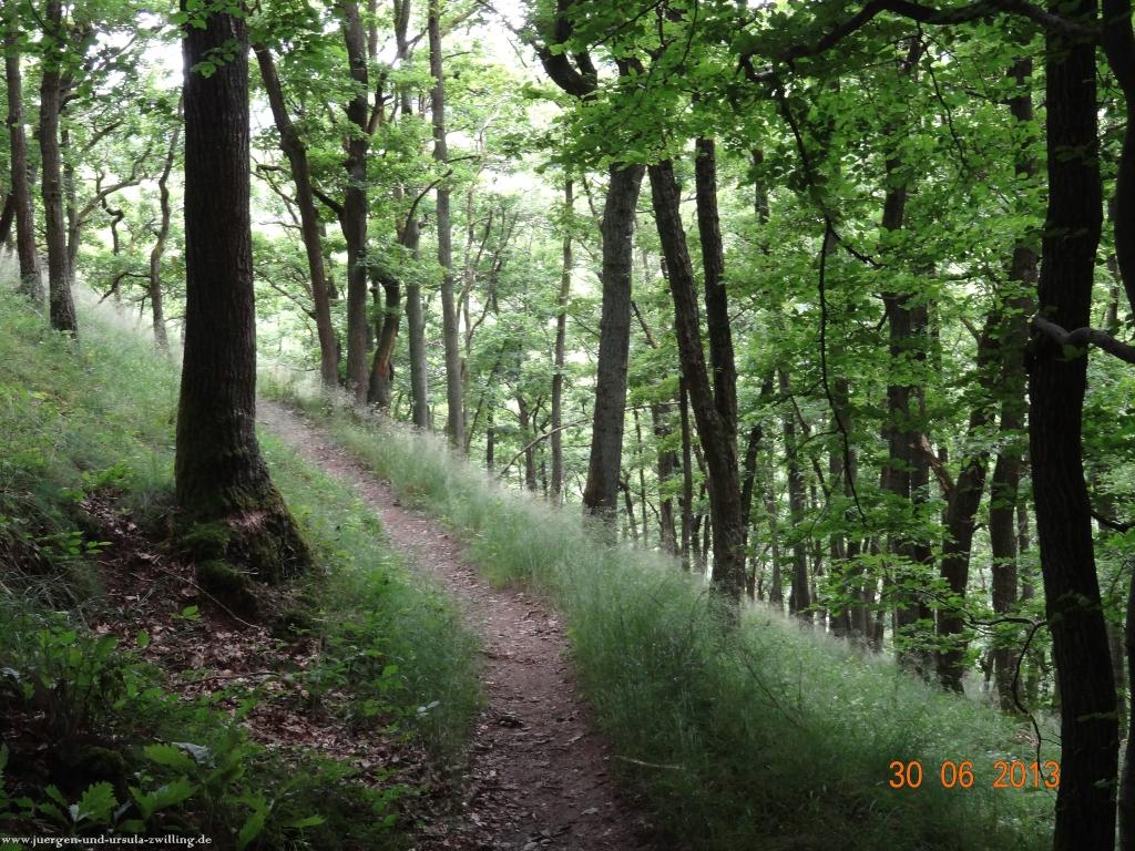 Philosophische Bildwanderung Traumpfad-Monrealer-Ritterschlag