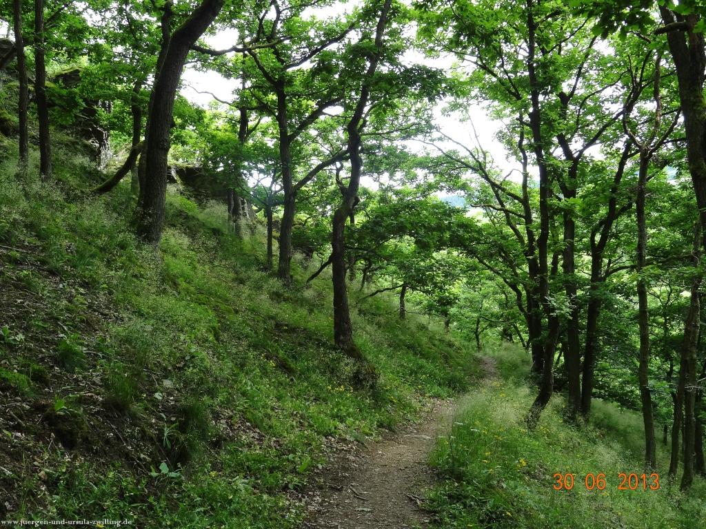 Philosophische Bildwanderung Traumpfad-Monrealer-Ritterschlag