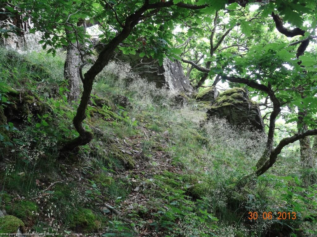 Philosophische Bildwanderung Traumpfad-Monrealer-Ritterschlag