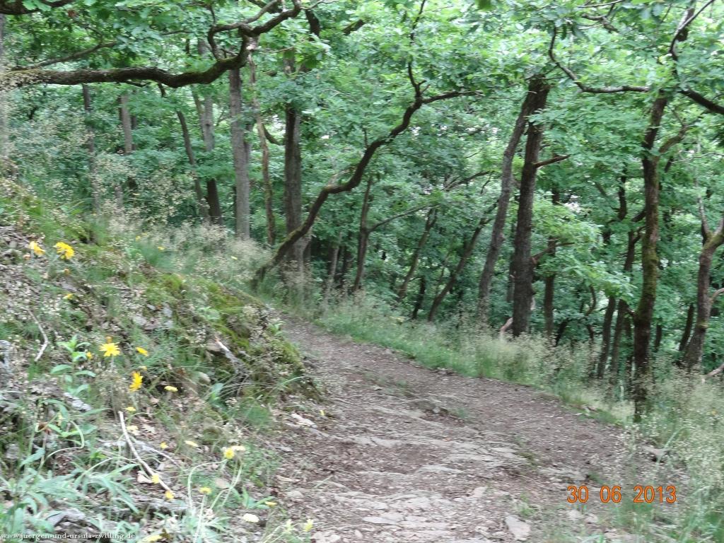 Philosophische Bildwanderung Traumpfad-Monrealer-Ritterschlag