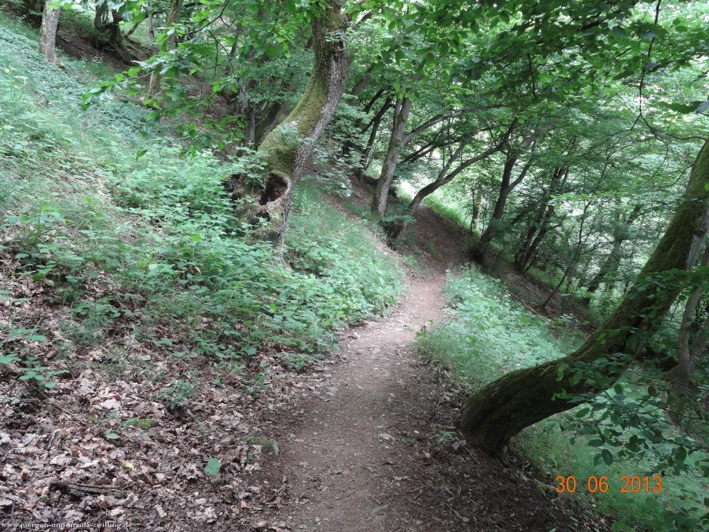 Philosophische Bildwanderung Traumpfad-Monrealer-Ritterschlag