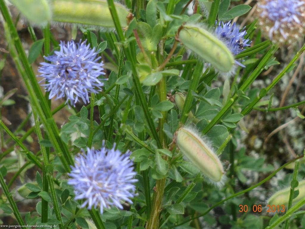 Philosophische Bildwanderung Traumpfad-Monrealer-Ritterschlag