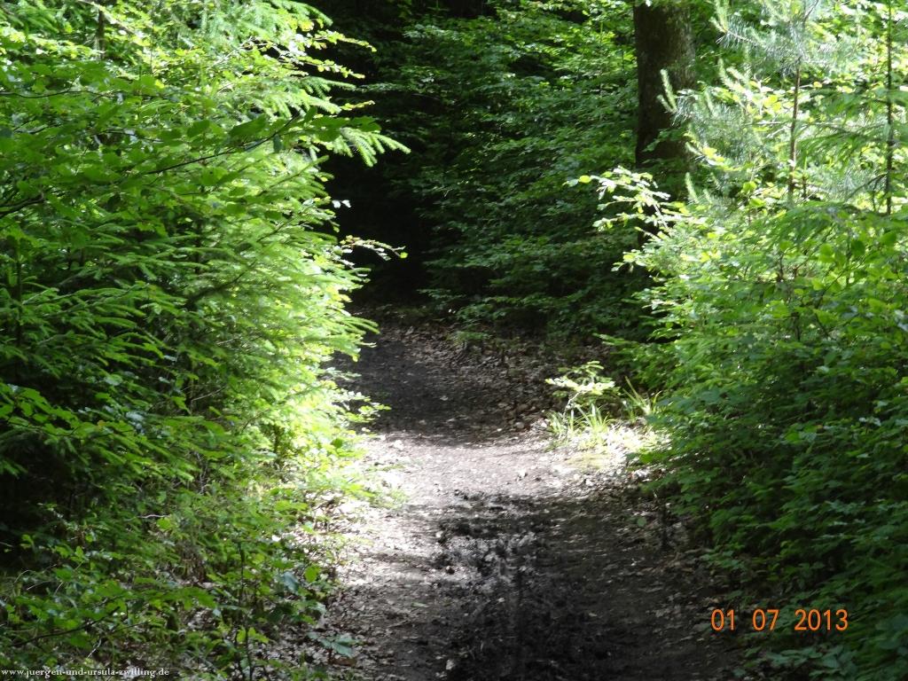 Philosophische Bildwanderung Eifelsteig-Etappe-10-Gerolstein-Daun