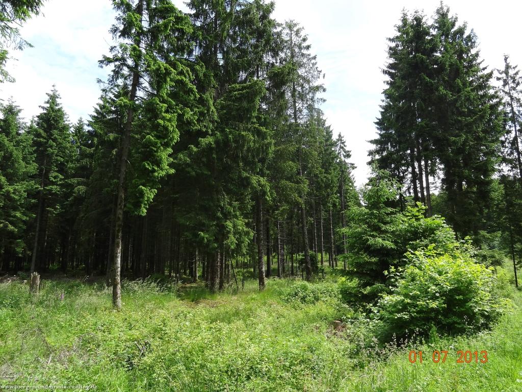 Philosophische Bildwanderung Eifelsteig-Etappe-10-Gerolstein-Daun