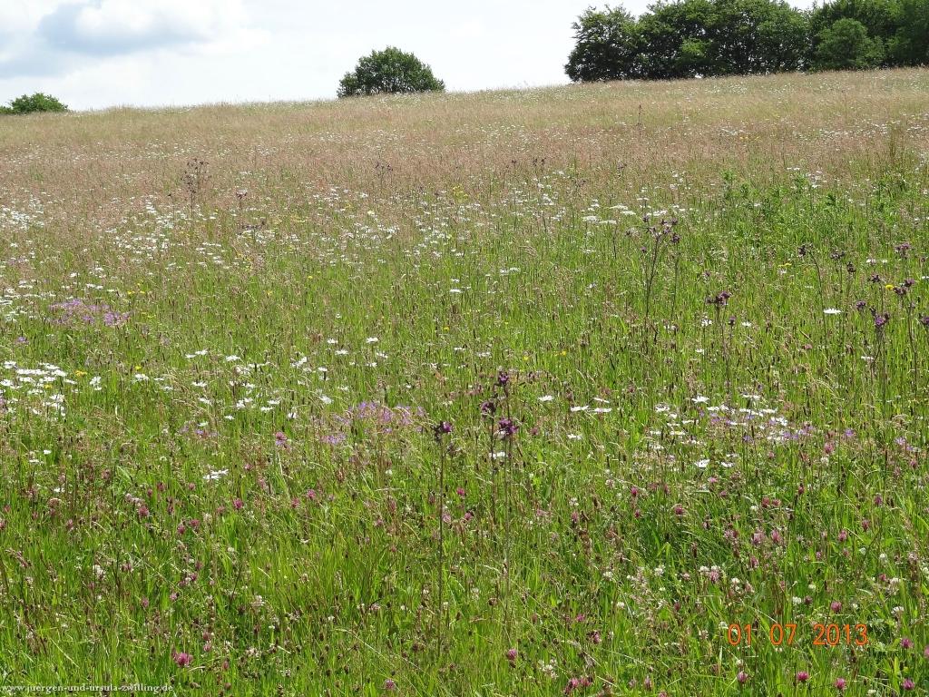 Philosophische Bildwanderung Eifelsteig-Etappe-10-Gerolstein-Daun