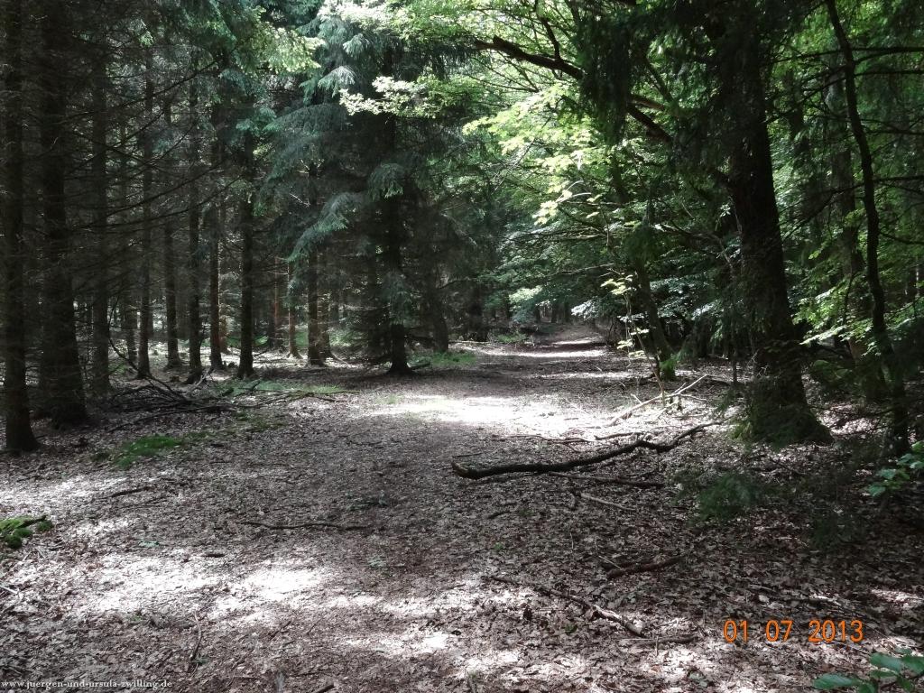 Philosophische Bildwanderung Eifelsteig-Etappe-10-Gerolstein-Daun