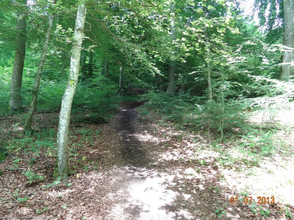 Philosophische Bildwanderung Eifelsteig-Etappe-10-Gerolstein-Daun