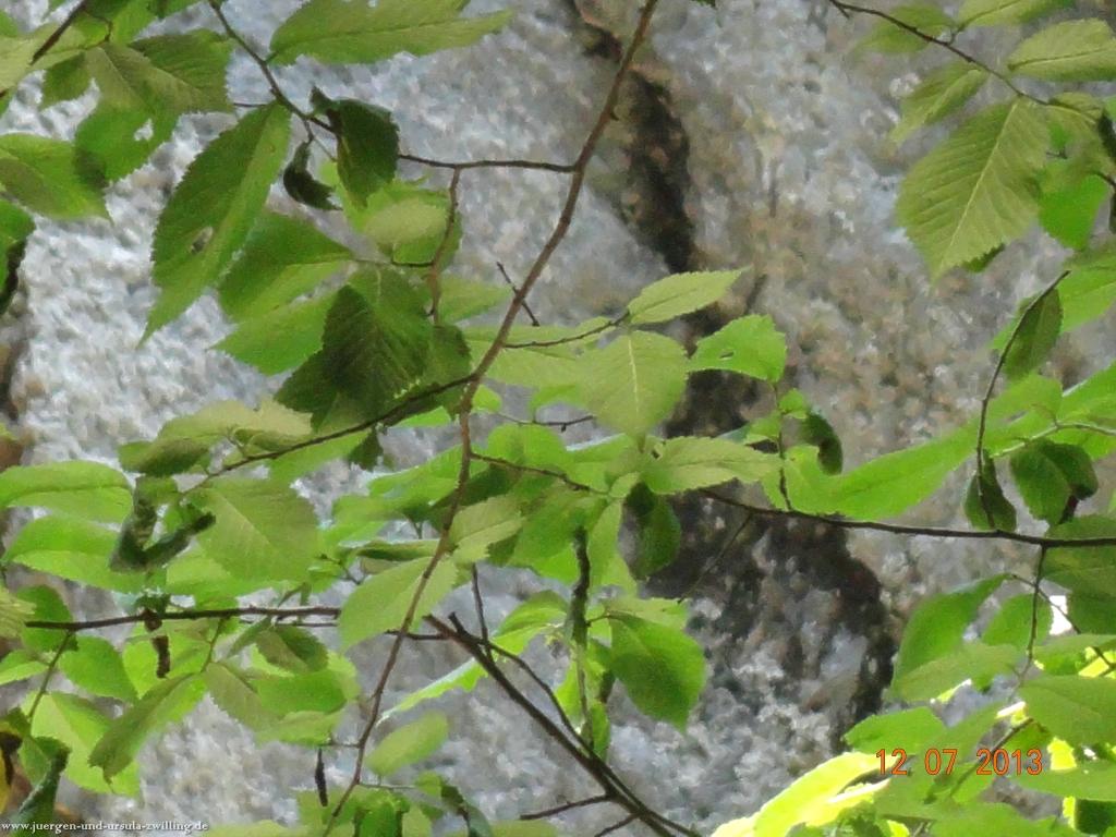 Philosophische Bildwanderung Breitachklamm im Allgäu