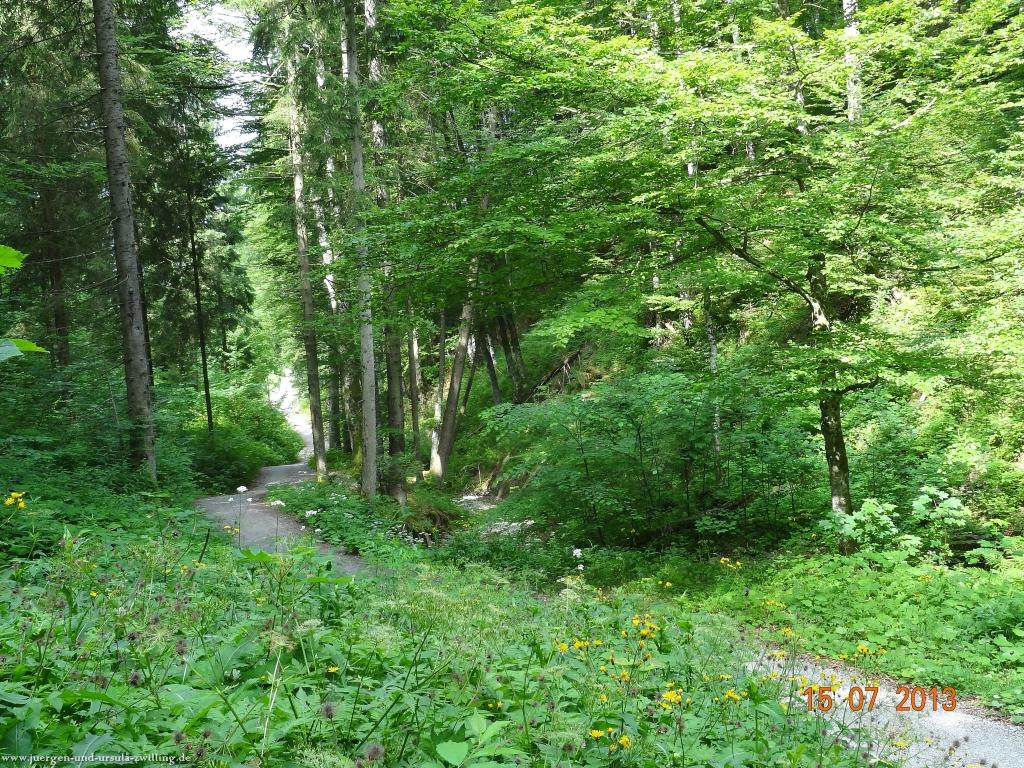 Philosophische Bildwanderung Premiumwanderweg Wilders Wasser im Allgäu