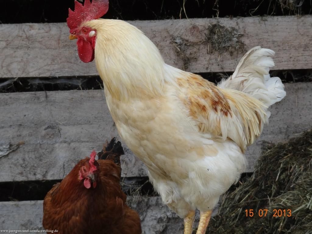 Philosophische Bildwanderung Premiumwanderweg Wilders Wasser im Allgäu