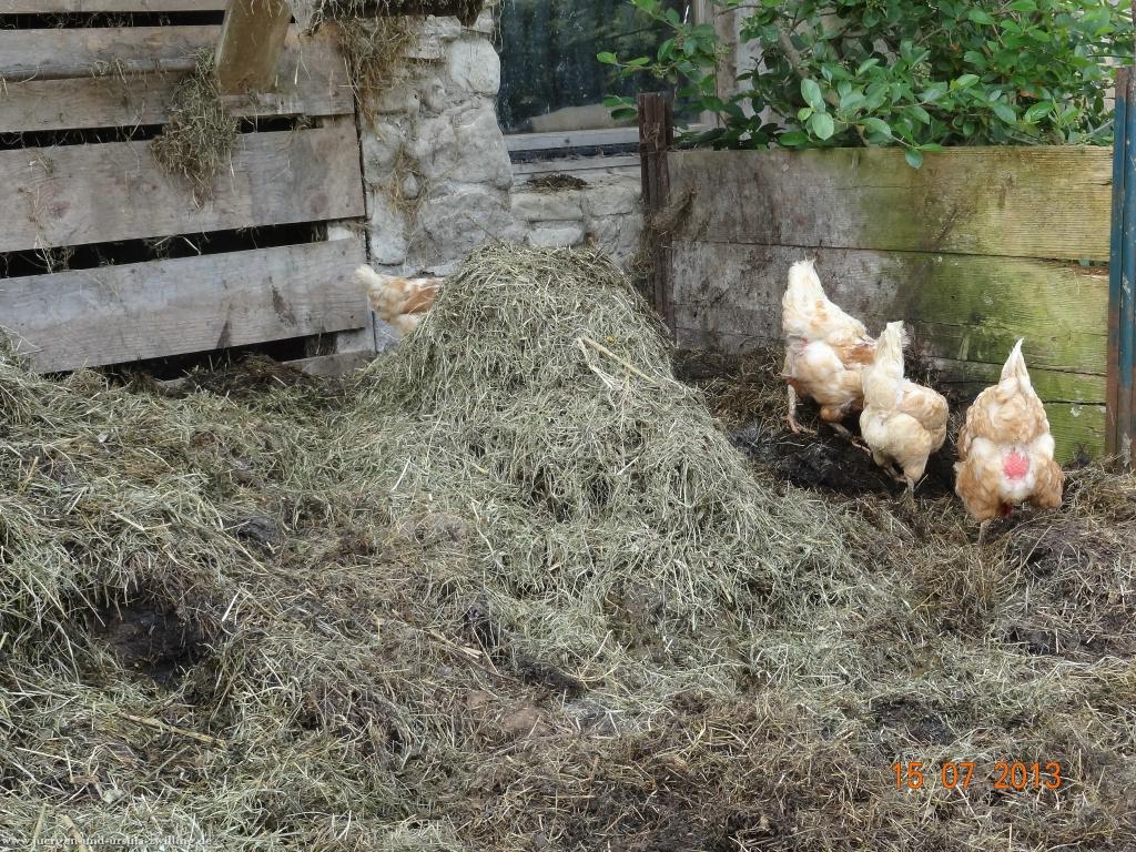 Philosophische Bildwanderung Premiumwanderweg Wilders Wasser im Allgäu