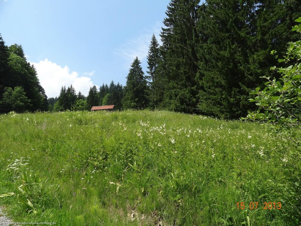 Philosophische Bildwanderung Premiumwanderweg Wilders Wasser im Allgäu