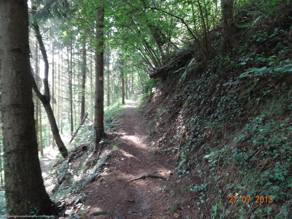 Philosophische Bildwanderung Traumpfad Koberner Burgpfad