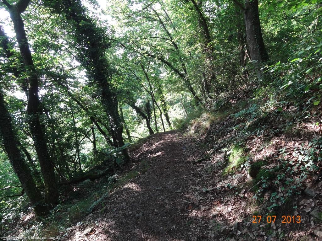 Philosophische Bildwanderung Traumpfad Koberner Burgpfad