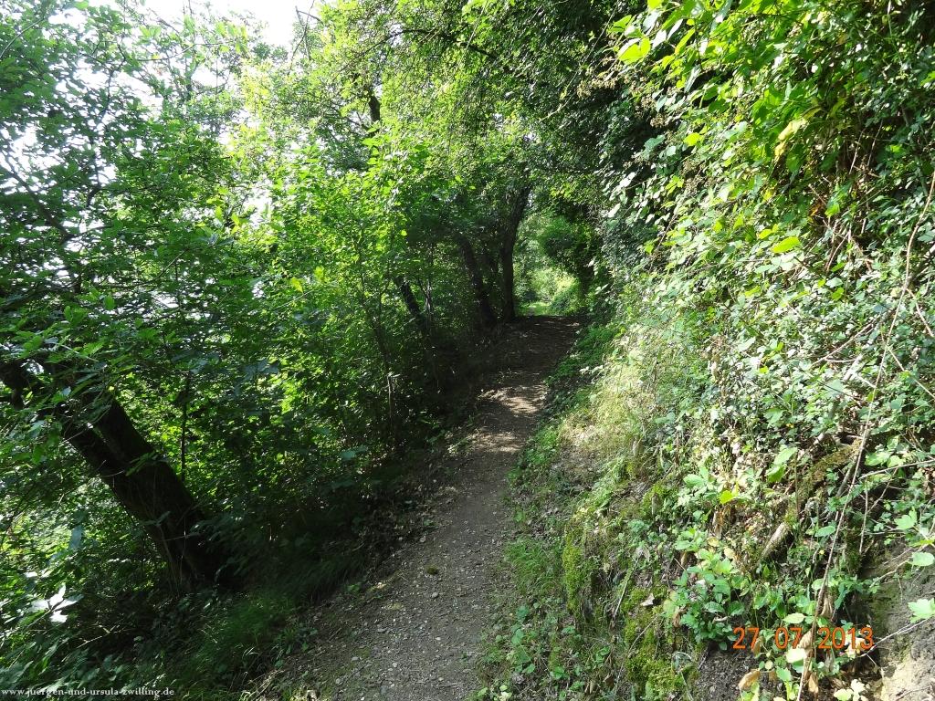 Philosophische Bildwanderung Traumpfad Koberner Burgpfad