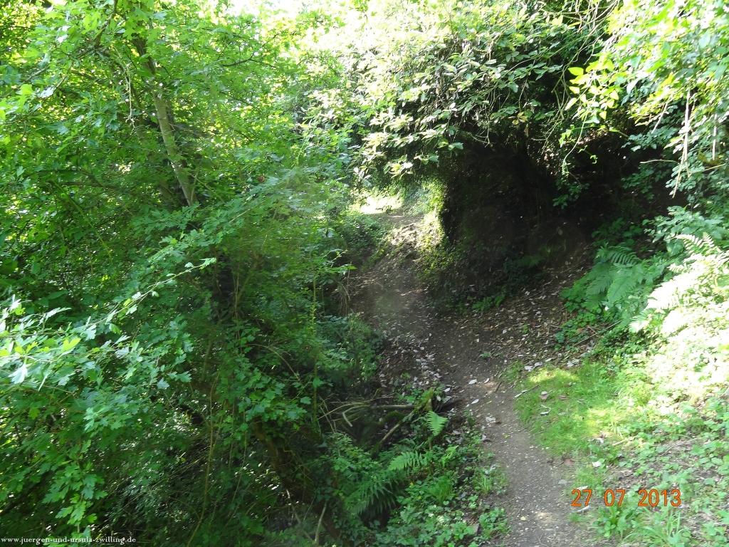 Philosophische Bildwanderung Traumpfad Koberner Burgpfad