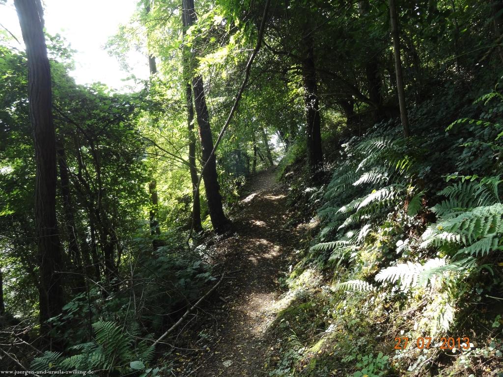 Philosophische Bildwanderung Traumpfad Koberner Burgpfad