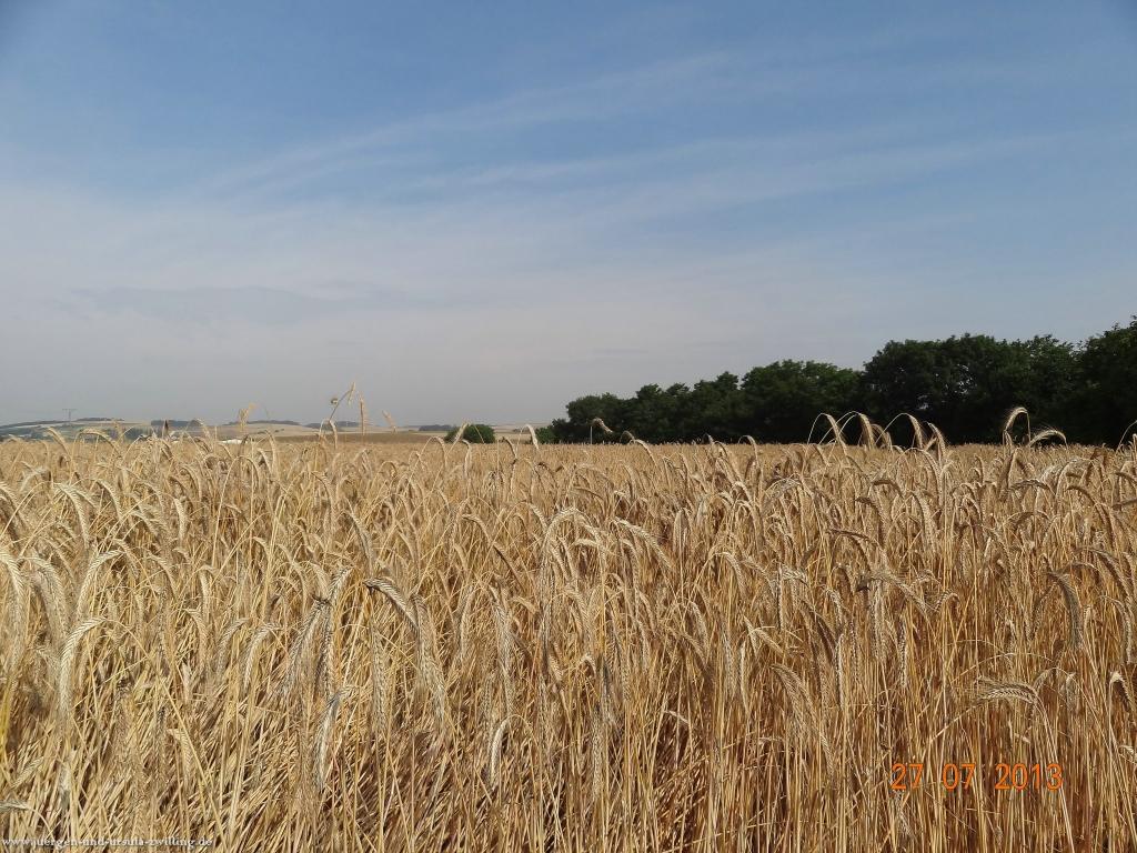 Philosophische Bildwanderung Traumpfad Koberner Burgpfad