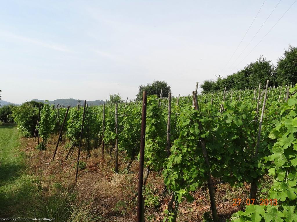 Philosophische Bildwanderung Traumpfad Koberner Burgpfad