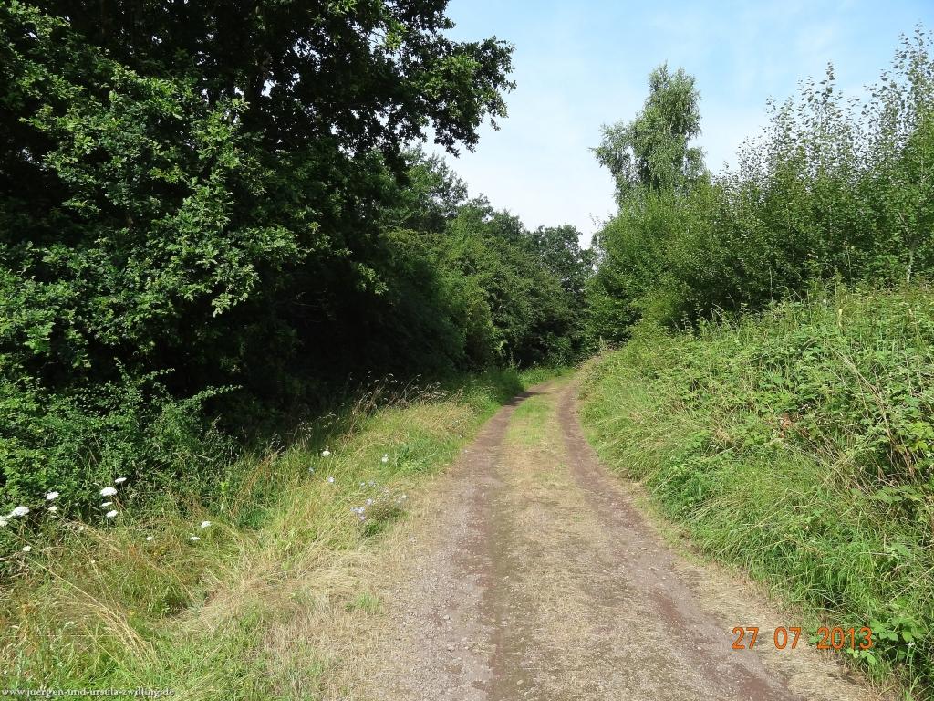 Philosophische Bildwanderung Traumpfad Koberner Burgpfad