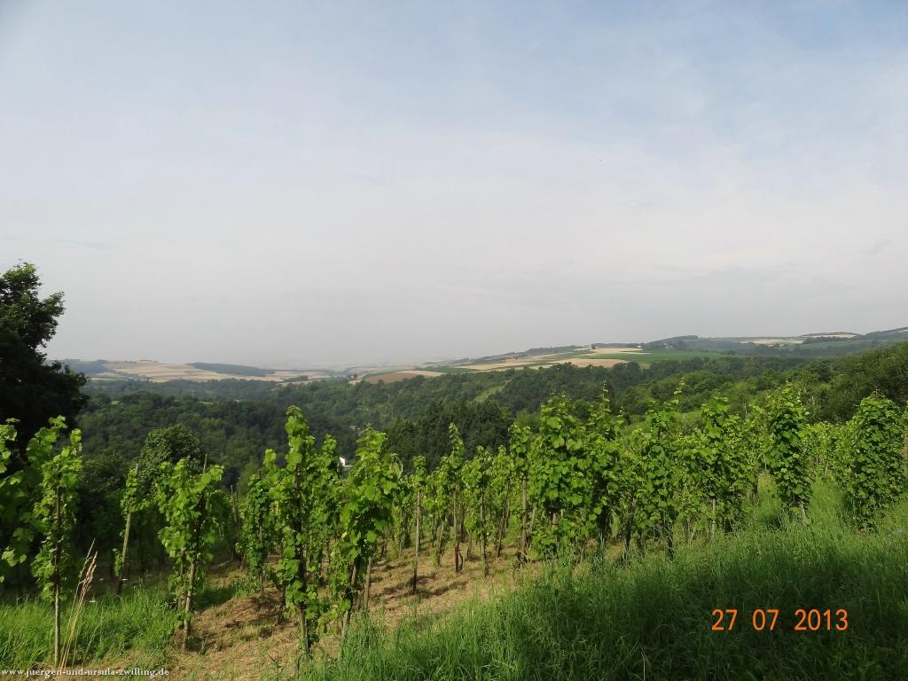 Philosophische Bildwanderung Traumpfad Koberner Burgpfad