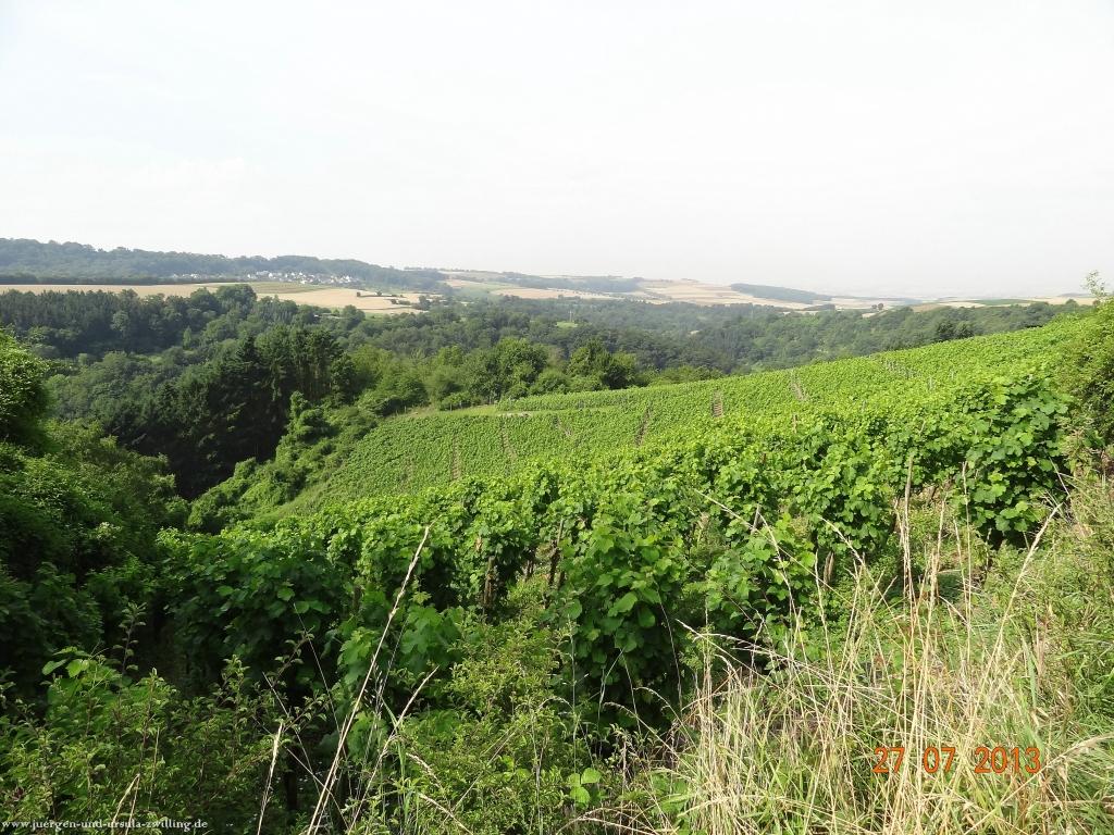 Philosophische Bildwanderung Traumpfad Koberner Burgpfad