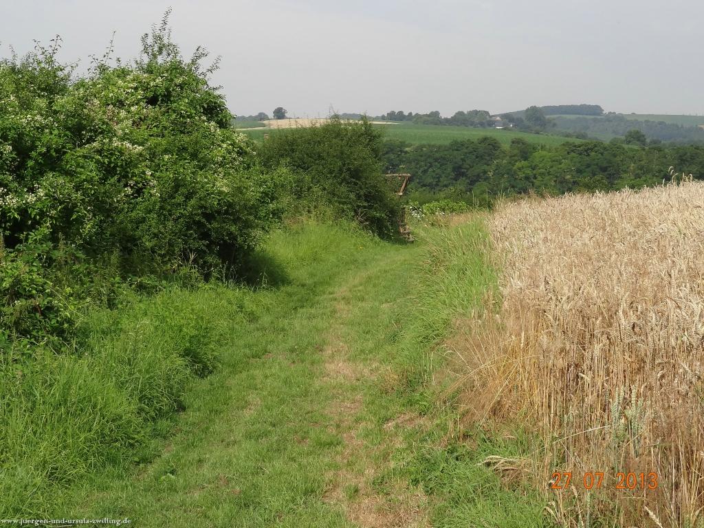 Philosophische Bildwanderung Traumpfad Koberner Burgpfad
