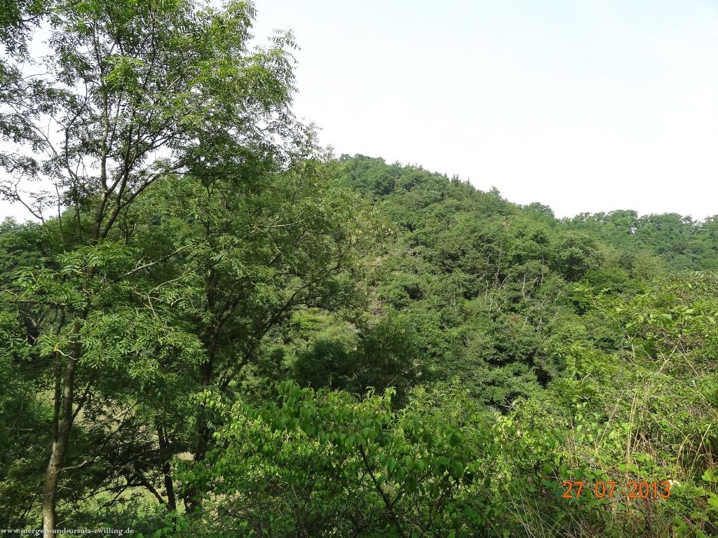 Philosophische Bildwanderung Traumpfad Koberner Burgpfad