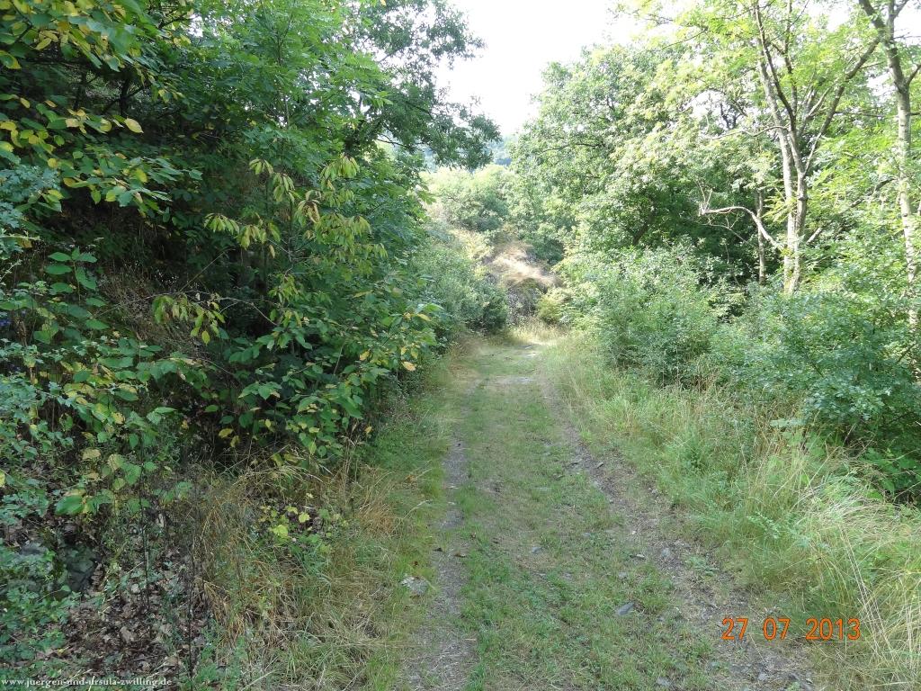 Philosophische Bildwanderung Traumpfad Koberner Burgpfad