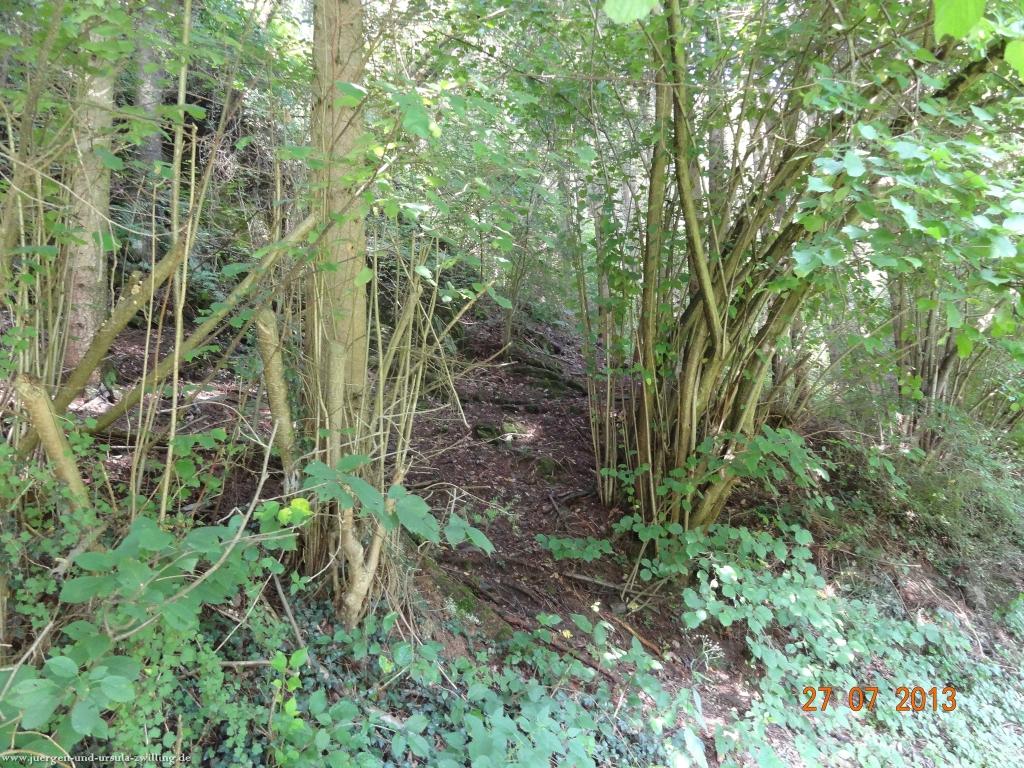 Philosophische Bildwanderung Traumpfad Koberner Burgpfad