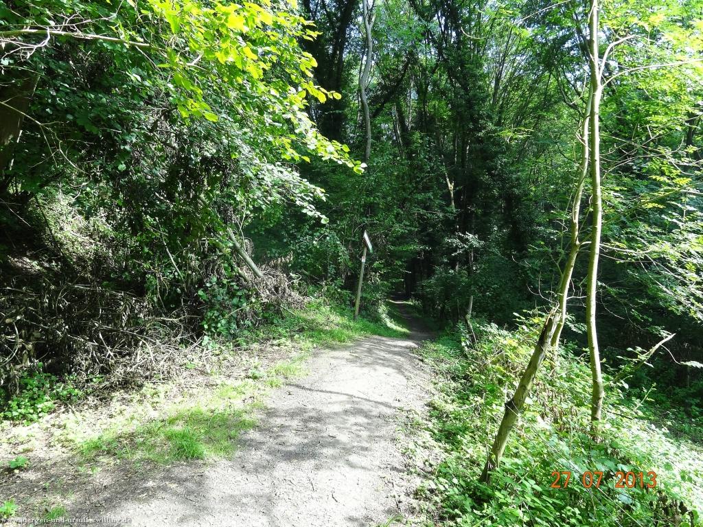 Philosophische Bildwanderung Traumpfad Koberner Burgpfad