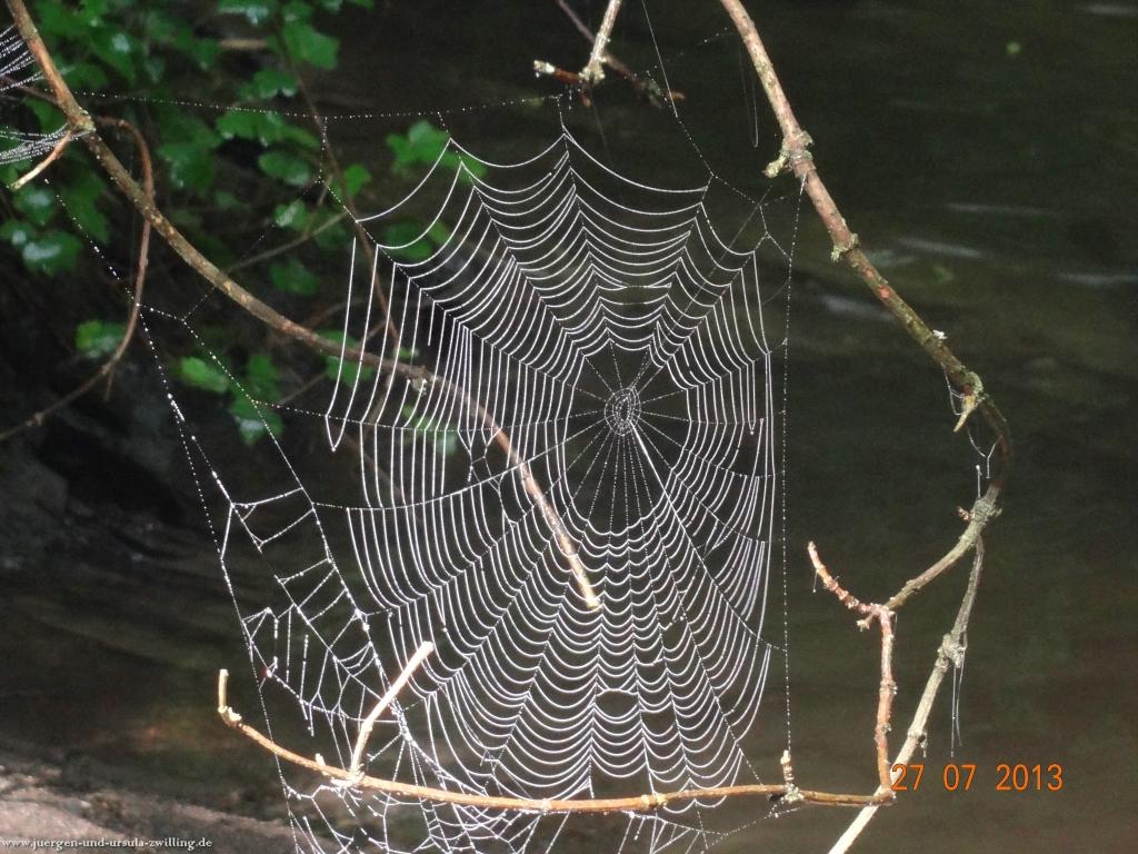 Philosophische Bildwanderung Traumpfad Koberner Burgpfad