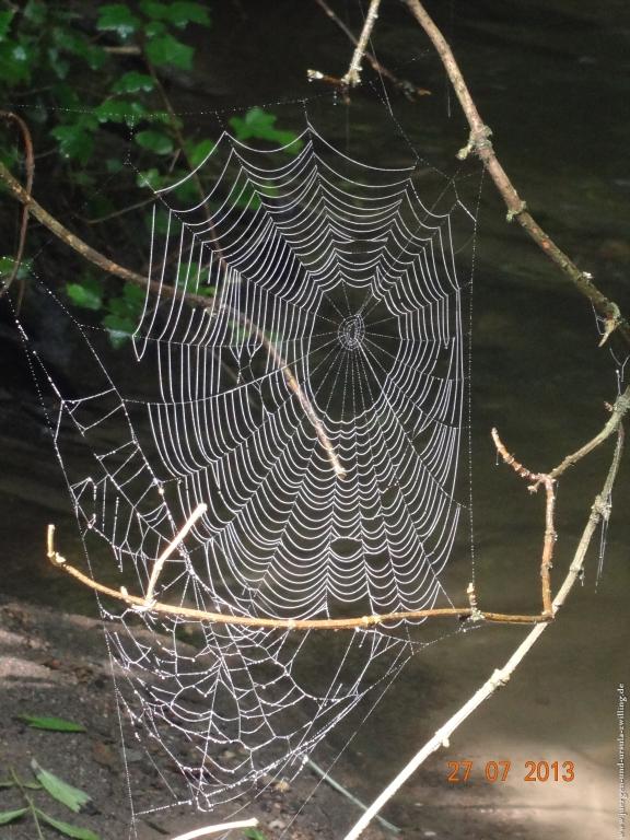 Philosophische Bildwanderung Traumpfad Koberner Burgpfad