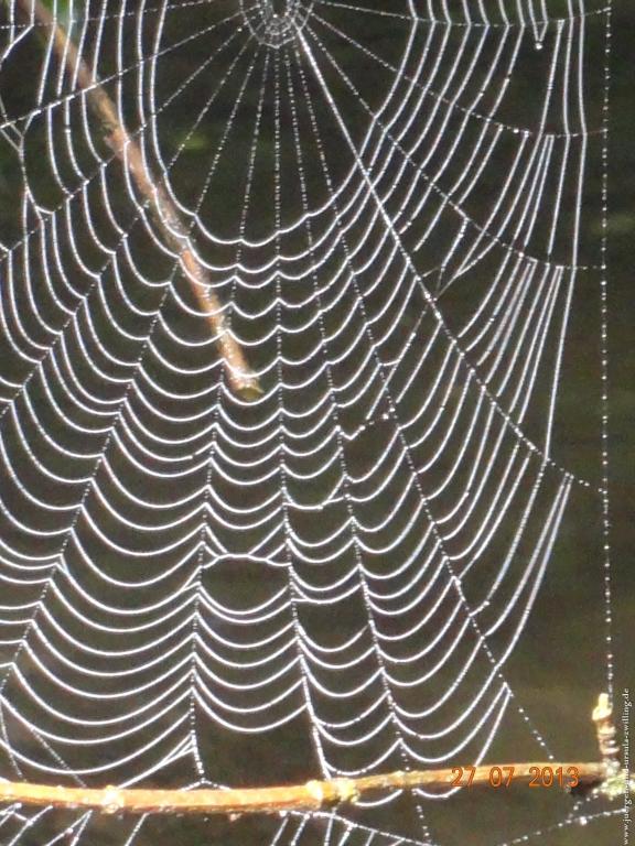 Philosophische Bildwanderung Traumpfad Koberner Burgpfad