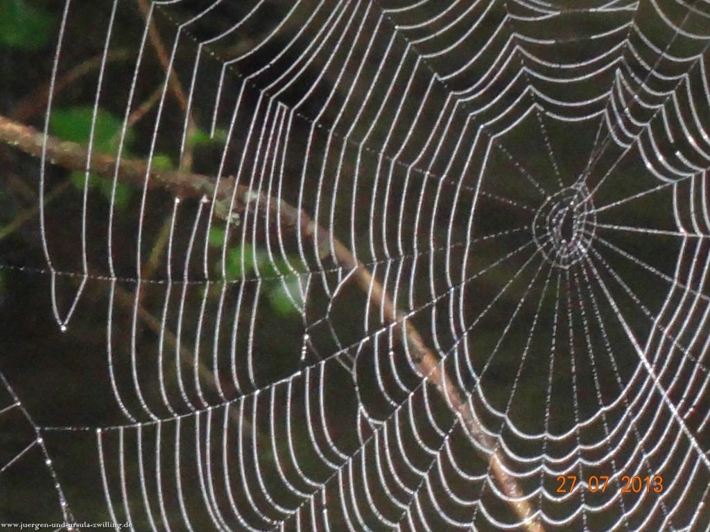 Philosophische Bildwanderung Traumpfad Koberner Burgpfad