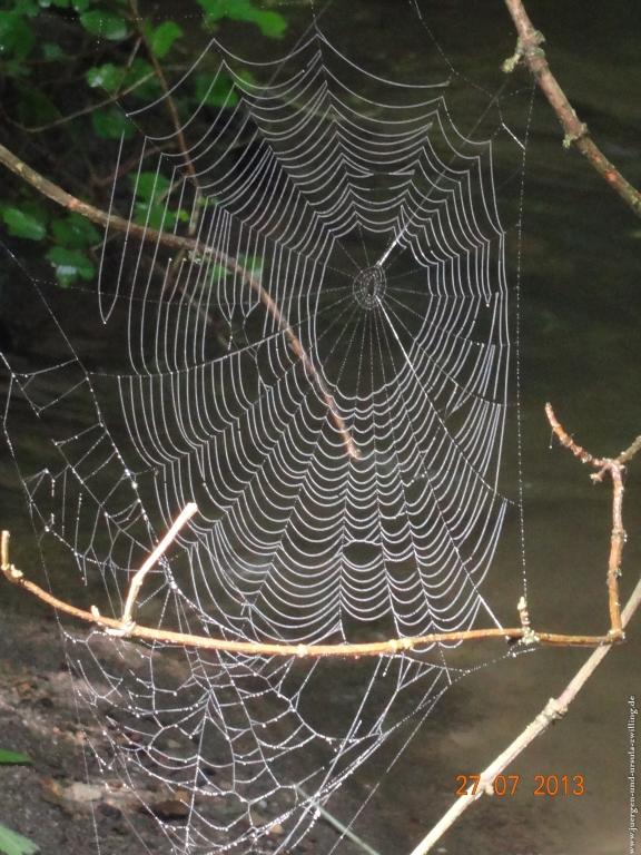 Philosophische Bildwanderung Traumpfad Koberner Burgpfad