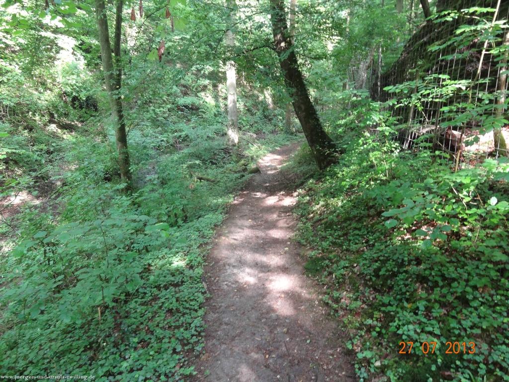 Philosophische Bildwanderung Traumpfad Koberner Burgpfad