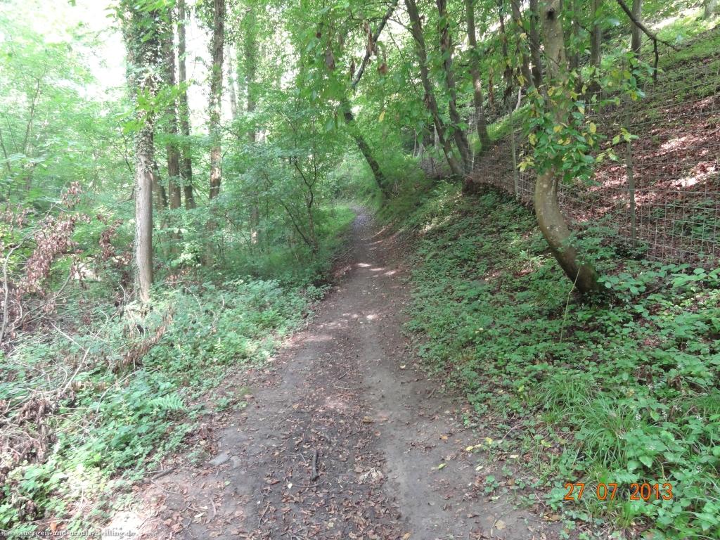 Philosophische Bildwanderung Traumpfad Koberner Burgpfad 