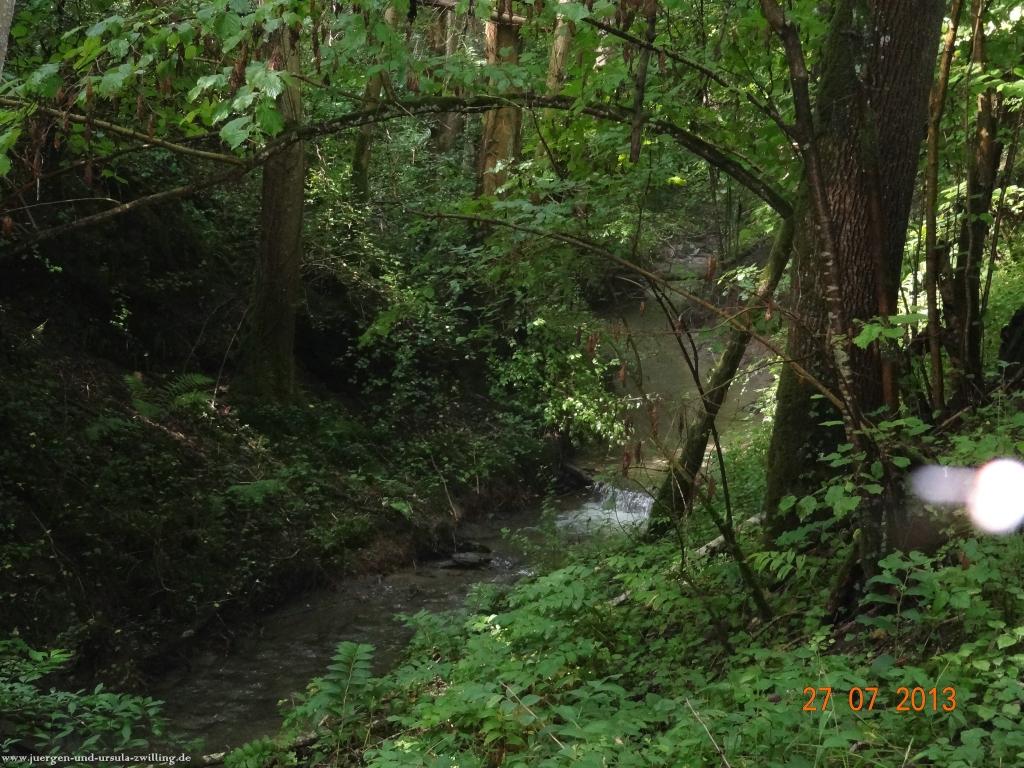 Philosophische Bildwanderung Traumpfad Koberner Burgpfad