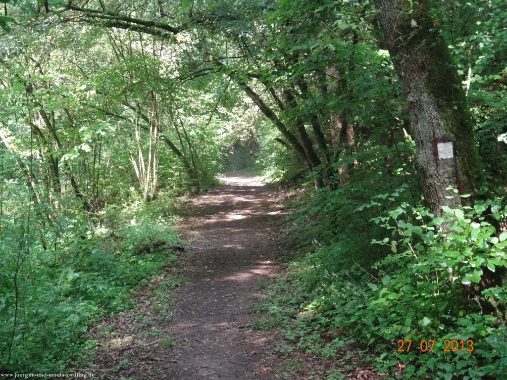 Philosophische Bildwanderung Traumpfad Koberner Burgpfad