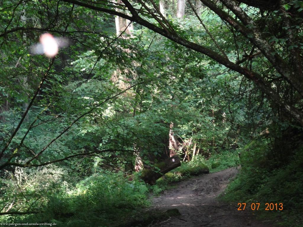 Philosophische Bildwanderung Traumpfad Koberner Burgpfad