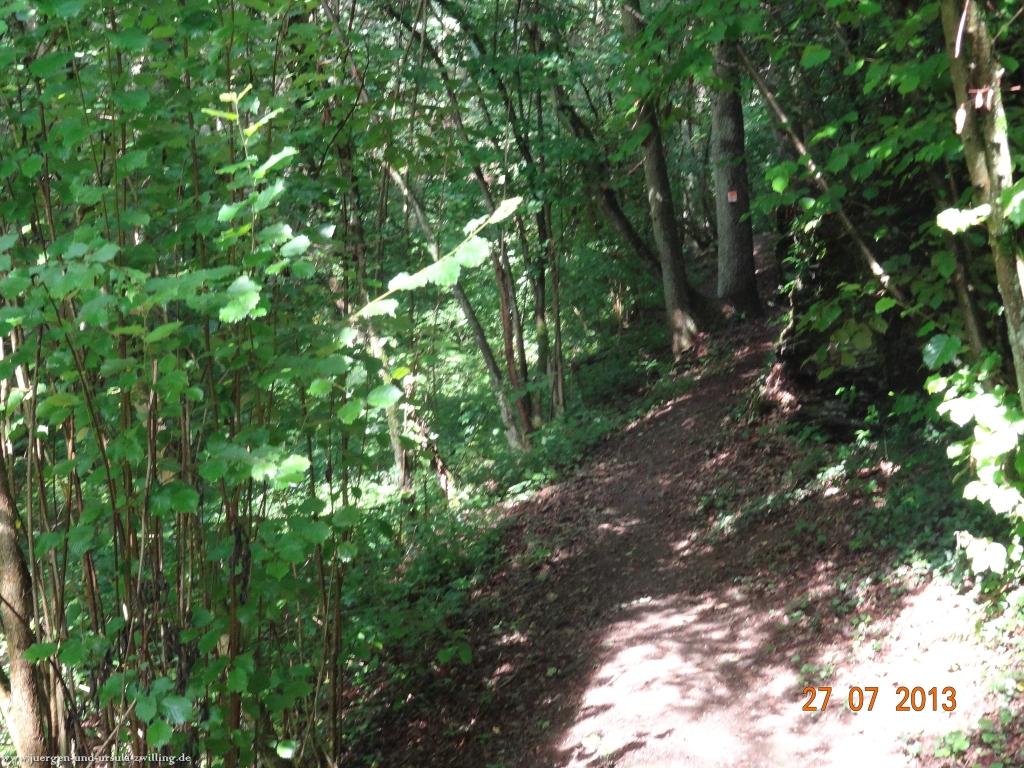 Philosophische Bildwanderung Traumpfad Koberner Burgpfad