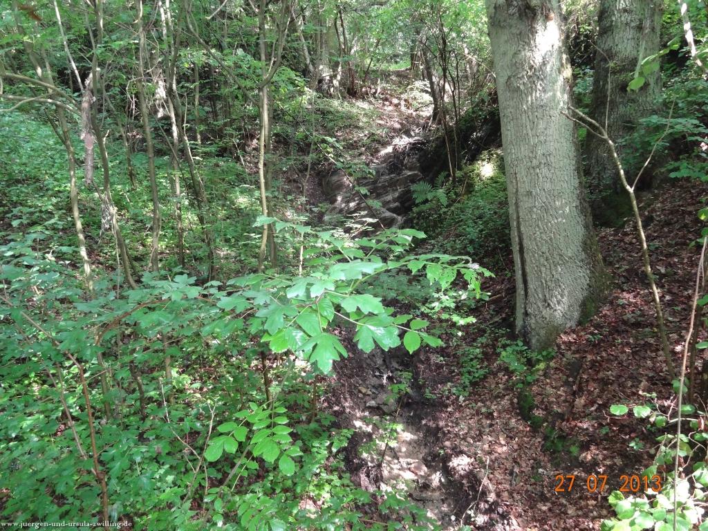 Philosophische Bildwanderung Traumpfad Koberner Burgpfad