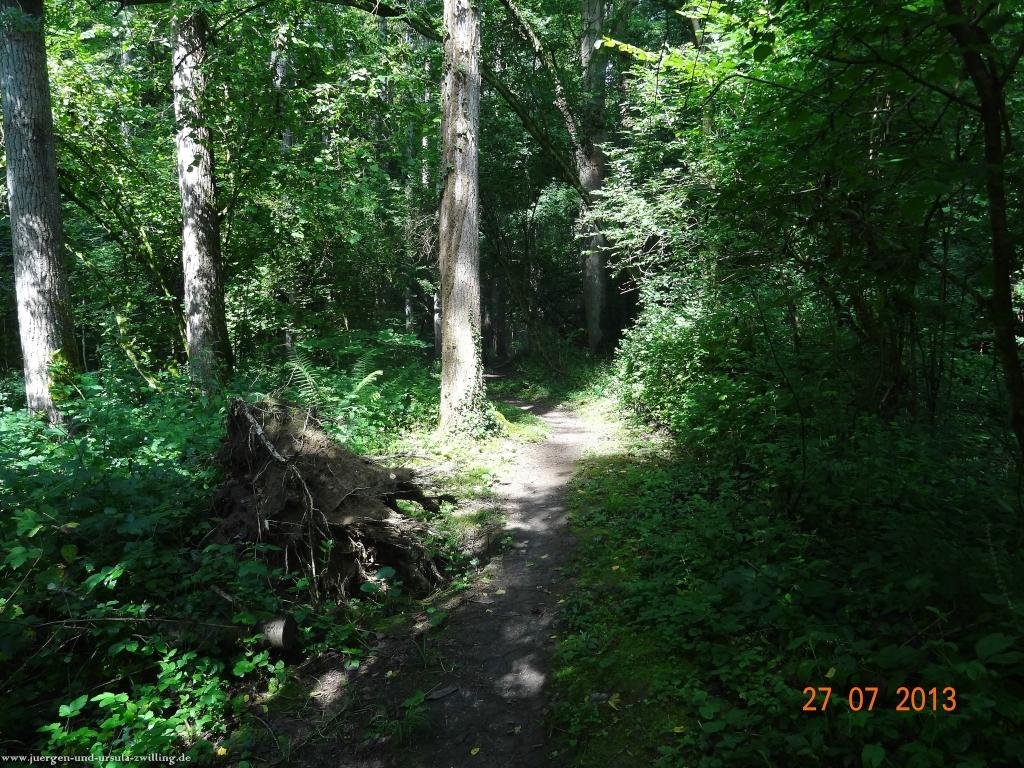 Philosophische Bildwanderung Traumpfad Koberner Burgpfad