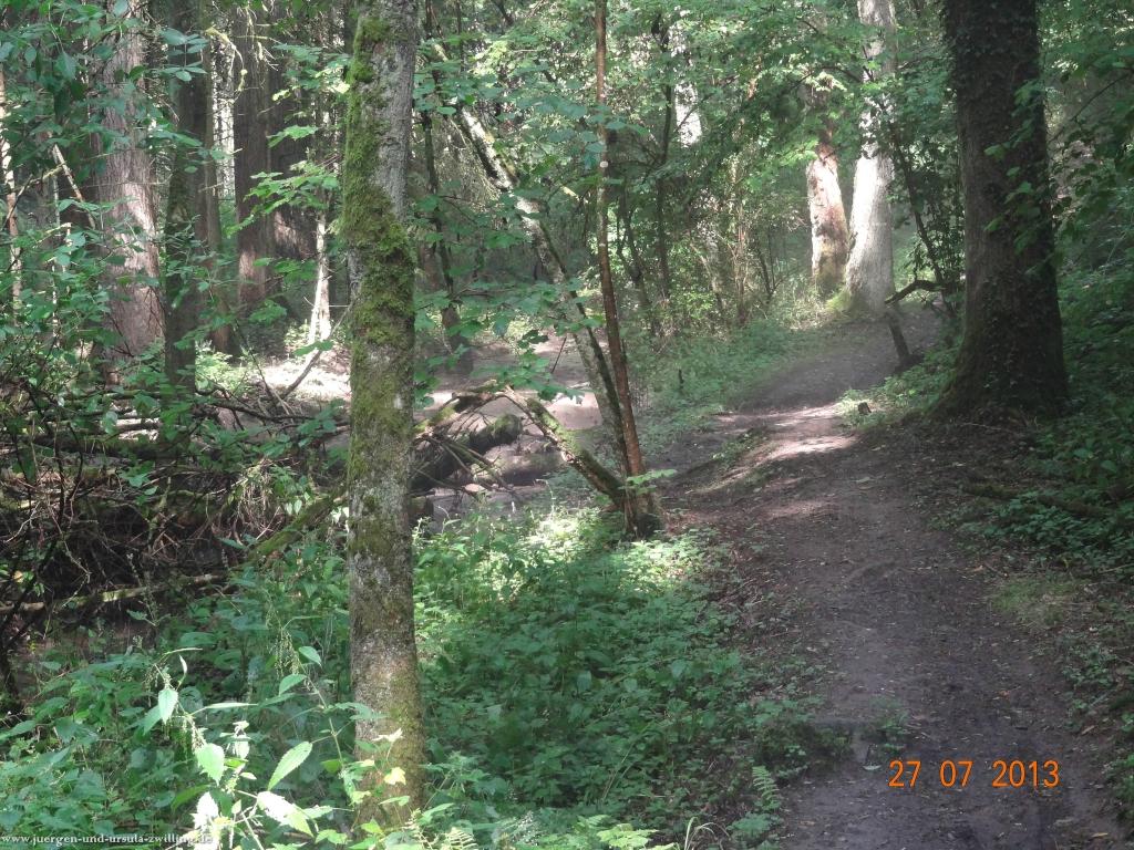 Philosophische Bildwanderung Traumpfad Koberner Burgpfad