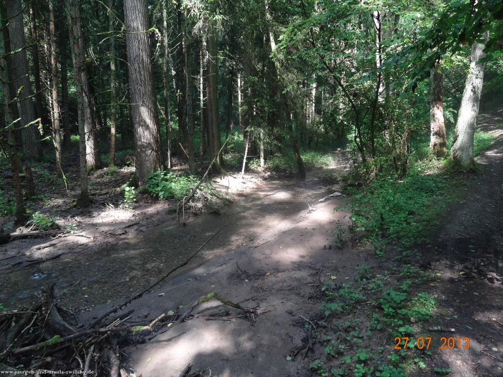 Philosophische Bildwanderung Traumpfad Koberner Burgpfad 