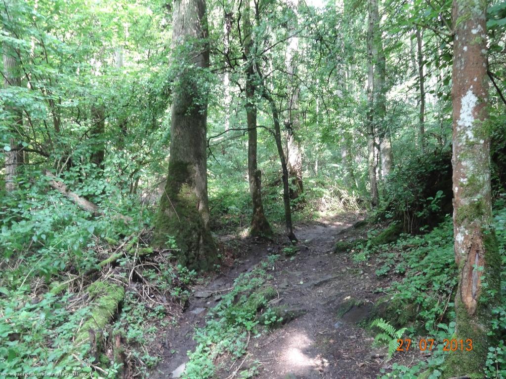 Philosophische Bildwanderung Traumpfad Koberner Burgpfad