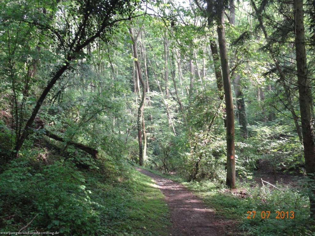 Philosophische Bildwanderung Traumpfad Koberner Burgpfad
