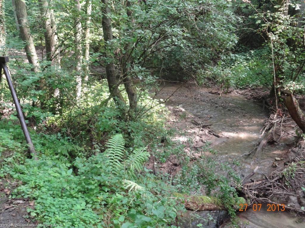 Philosophische Bildwanderung Traumpfad Koberner Burgpfad